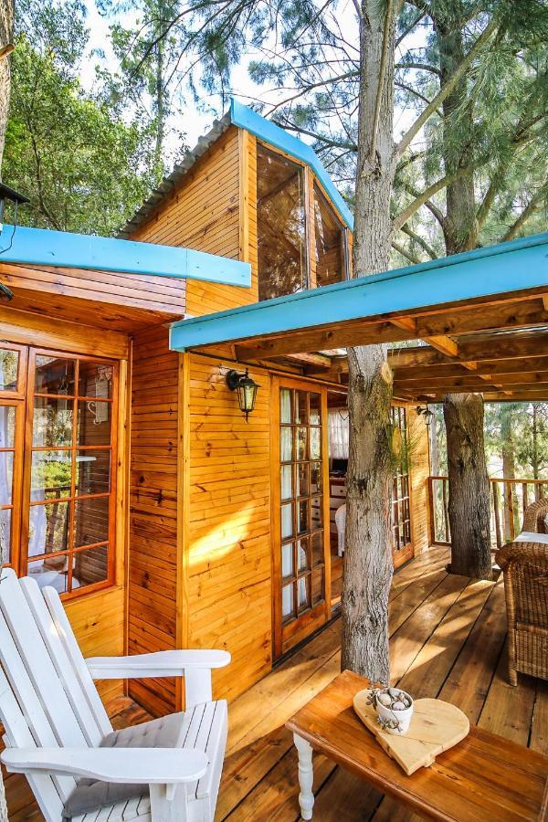 Vindoux Tree House Guest Farm & Spa Tulbagh Exterior photo