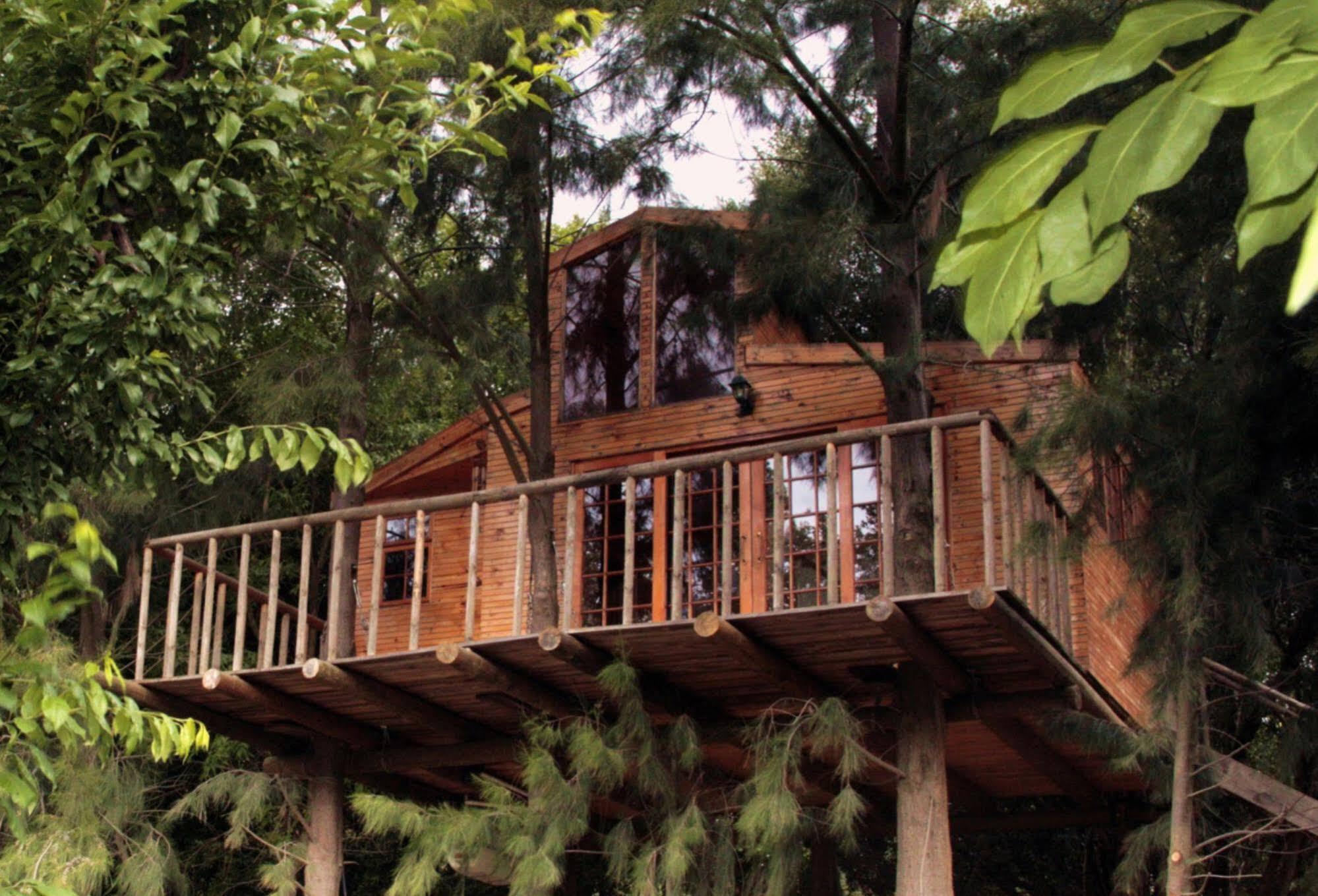 Vindoux Tree House Guest Farm & Spa Tulbagh Exterior photo